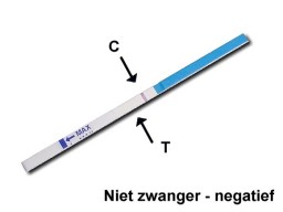 niet zwanger